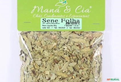 Sene Folha Kit com 10 Unidades Imagem Sene Folha Kit com 10 Unidades