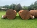 Tanque Horizontal Industrial 15.000 Litros (15 m³) | Ø 1.900 x 5.500 mm Imagem Tanque Horizontal Industrial 15.000 Litros (15 m³) | Ø 1.900 x 5.500 mm