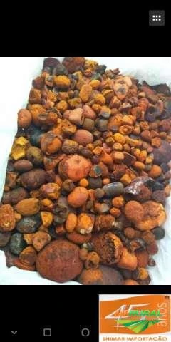 Compro pedra de Fel/ Calculo Biliar/ Pedra de Boi