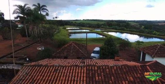 Sitio Roda da Água - Minas Gerais - Roda da Água.