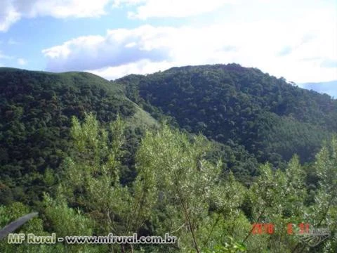 ÁREA PARA RESERVA AMBIENTAL - CAR