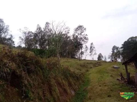 Pedreira de basalto na Grande Porto Alegre de 50 hectares