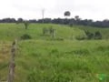 Fazenda com 1100 ha com facil acesso 15km da br