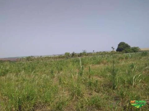 Sitio 2alqueires,irrigado, próximo do kadowaky
