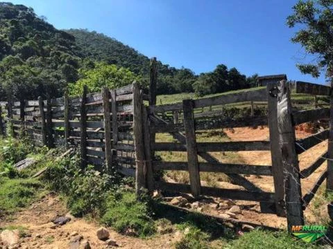 fazenda para gado