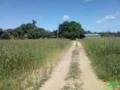 Fazenda 784 ha - Rio dos Bois - TO