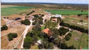 Fazenda A Venda Com 2000 Hectares