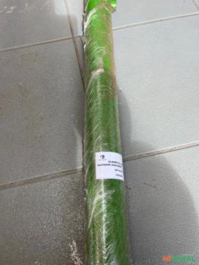 Cilindro do Levante do Elevador John Deere - Recondicionado Cilindro do Levante do Elevador John Deere - Recondicionado