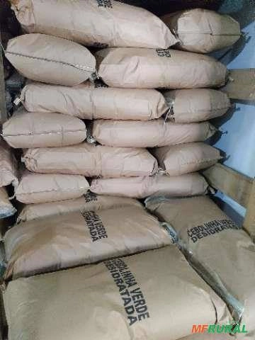 Salsa coentro e cebolinha verde desidratada Imagem Salsa coentro e cebolinha verde desidratada