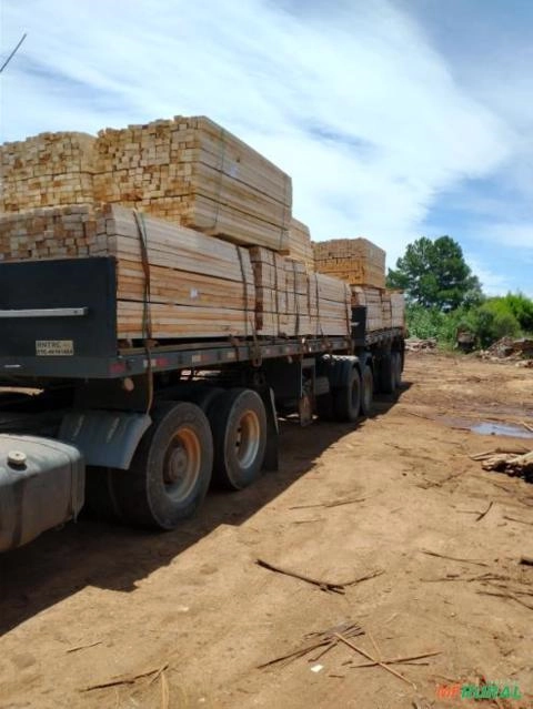 Madeira de Eucalipto para Construção Civil, Pallets e Embalagens Imagem Madeira de Eucalipto para Construção Civil, Pallets e Embalagens