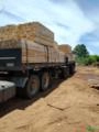 Madeira de Eucalipto para Construção Civil, Pallets e Embalagens Imagem Madeira de Eucalipto para Construção Civil, Pallets e Embalagens