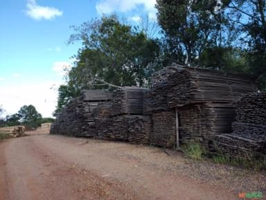 Imagem Madeira Serrada Eucalipto Imagem Madeira Serrada Eucalipto
