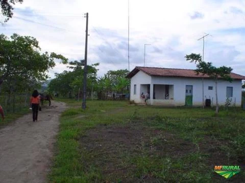 Fazenda Santa Verônica - Bahia/Laje - Aceitamos propostas!!