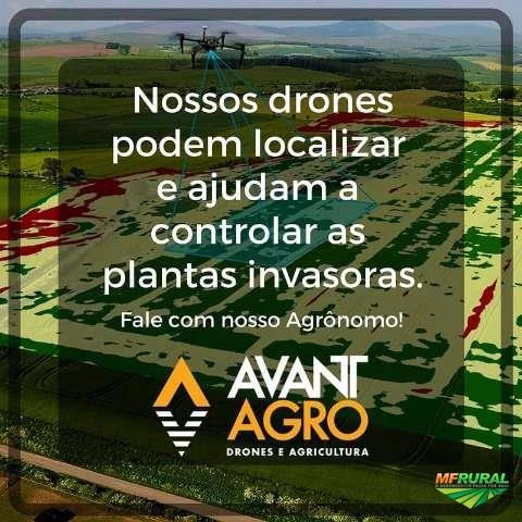 Mapeamento com Drones na Agricultura