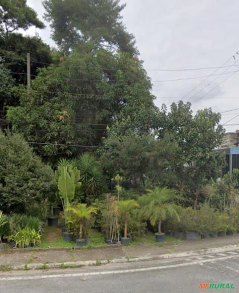 Árvores, plantas e mudas Imagem Árvores, plantas e mudas