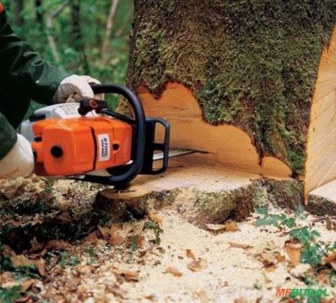 Motosserra 660 Imagem Motosserra 660