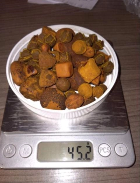 Compro pedra de fel bovina em bom estado de conservação.com extensivo Imagem Compro pedra de fel bovina em bom estado de conservação.com extensivo