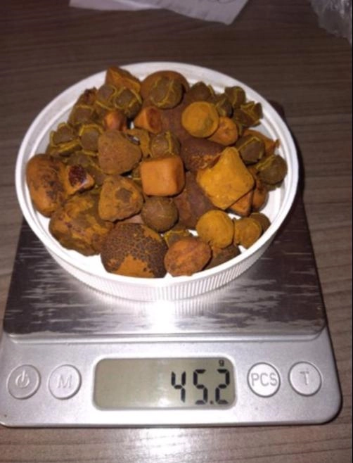 Compro pedra de fel bovina em bom estado de conservação.com extensivo Imagem Compro pedra de fel bovina em bom estado de conservação.com extensivo