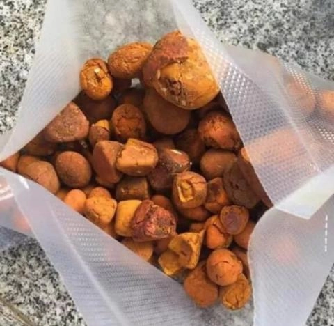 Imagem Compro pedra de fel bovina em bom estado de conservação.com extensivo Imagem Compro pedra de fel bovina em bom estado de conservação.com extensivo