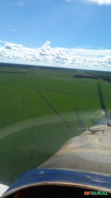 Fazenda para plantio de Soja