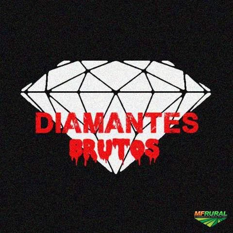 Diamantes brutos acima de 3 Cts...