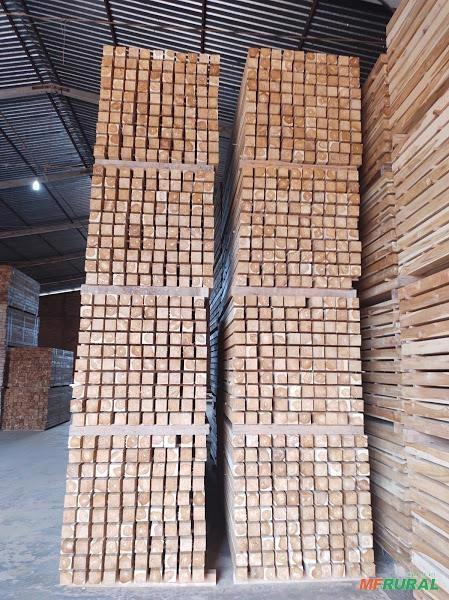 Madeira Teca de alta qualidade Imagem Madeira Teca de alta qualidade