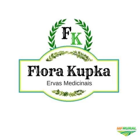 ERVAS MEDICINAIS NO ATACADO