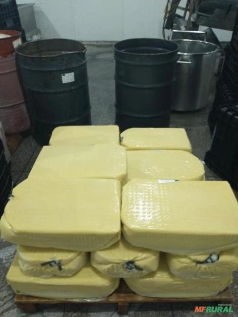 Cupuaçu Fruta Imagem Cupuaçu Fruta