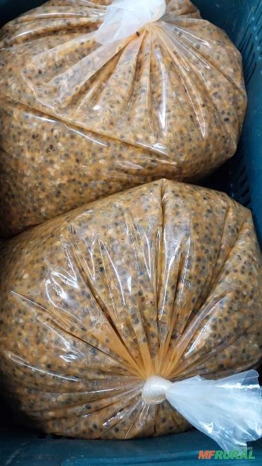 Imagem Polpa de Maracujá Imagem Polpa de Maracujá