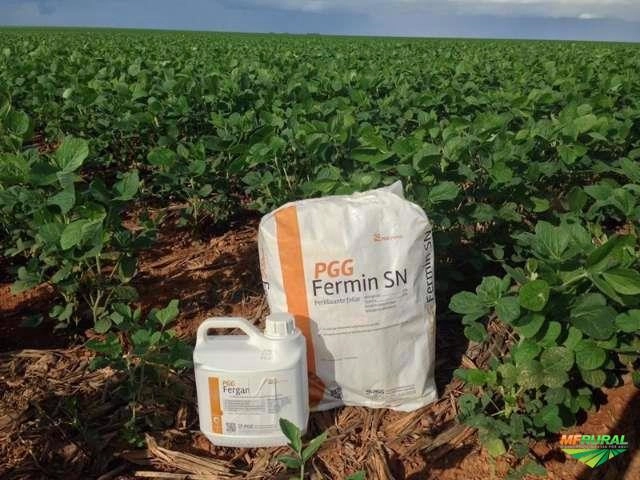 PGG FERMIN Imagem PGG FERMIN