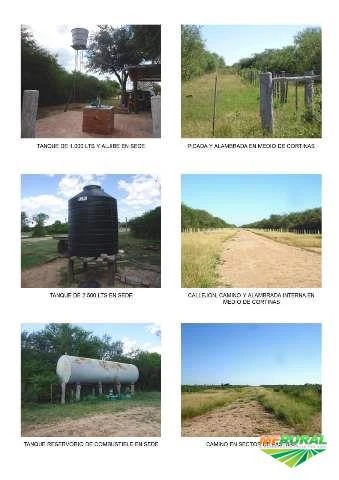 Fazenda - vendo em Paraguai