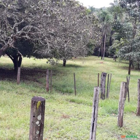 Vendo Sitio de 31 Hactares, localizado a 7 km de Aparecida do Rio Negro - To