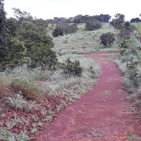 Vendo Sitio de 31 Hactares, localizado a 7 km de Aparecida do Rio Negro - To