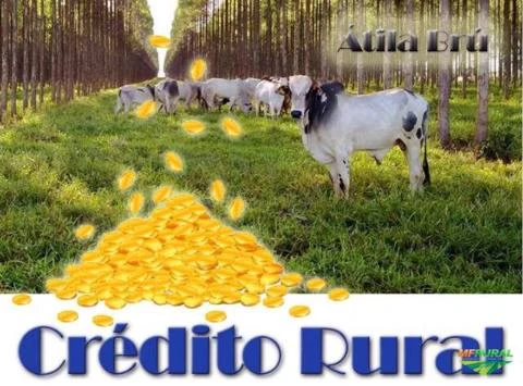 Capital de Giro / Crédito Rural - a partir de 100.000,00 (cem mil reais)