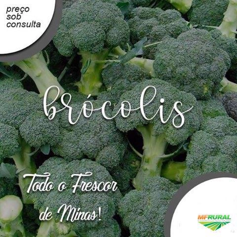 Brócolis ninja Imagem Brócolis ninja