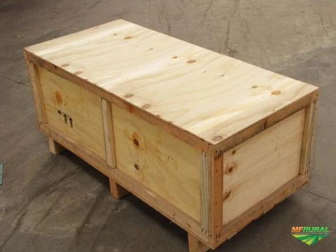 Embalagens de madeira/caixa de madeira/eucalipto, pinus tratado