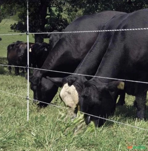 Haste/Vareta de Fibra de Vidro Cerca Elétrica Rural