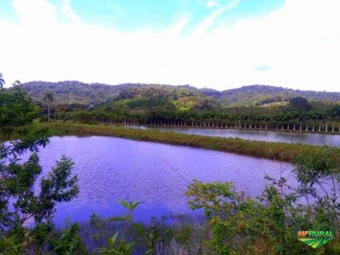 Vende-se fazenda Psicultura