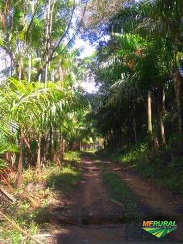 Vende-se fazenda Psicultura