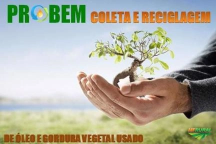 Imagem Óleo vegetal usado Imagem Óleo vegetal usado