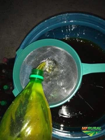 Imagem Óleo vegetal usado Imagem Óleo vegetal usado