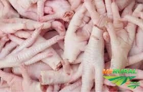 PÉS E ASAS DE GALINHA - CHICKEN FROZEN PAWS e CHICKEN FROZEN MIDDLE JOIN Imagem PÉS E ASAS DE GALINHA - CHICKEN FROZEN PAWS e CHICKEN FROZEN MIDDLE JOIN