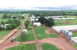 Fazenda 74,30 hectares altamente Produtiva integrada com BRF