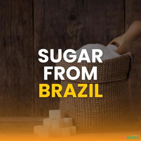 Açúcar IC 45 - Exportação e Mercado Nacional Imagem Açúcar IC 45 - Exportação e Mercado Nacional