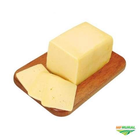 Compro mussarela e queijo prato Imagem Compro mussarela e queijo prato