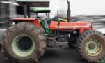 Trator Massey Ferguson 297 ano 2004 Imagem Trator Massey Ferguson 297 ano 2004