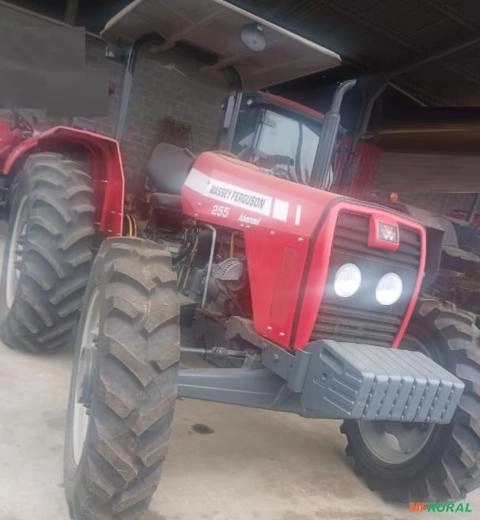 Trator Massey Ferguson 255 Ano 2010 Imagem Trator Massey Ferguson 255 Ano 2010