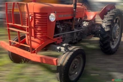 Imagem Trator Massey Ferguson 65X ano 1971 Imagem Trator Massey Ferguson 65X ano 1971
