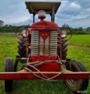 Trator Massey Ferguson 65X ano 1973 Imagem Trator Massey Ferguson 65X ano 1973