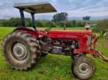 Trator Massey Ferguson 65X ano 1973 Imagem Trator Massey Ferguson 65X ano 1973